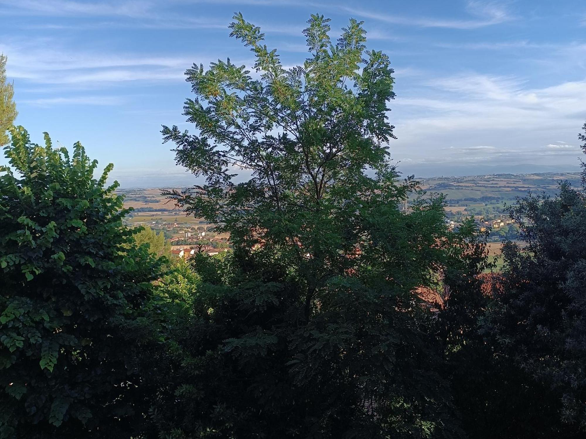 Appartamenti Dei Conti Osimo Kültér fotó